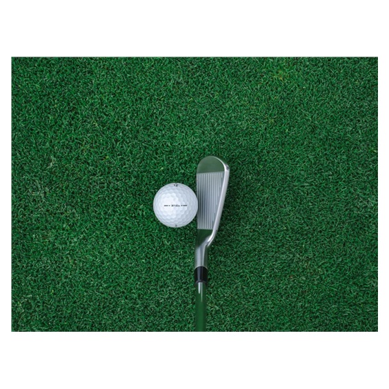 TaylorMade P770 irony męskie, stal