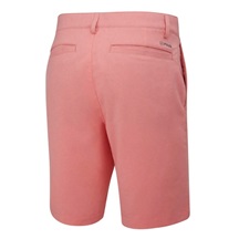 Ping Barret spodenki męskie, dubarry marl