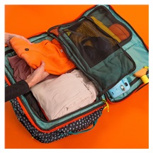 Ogio Alpha Venture plecak, canyon