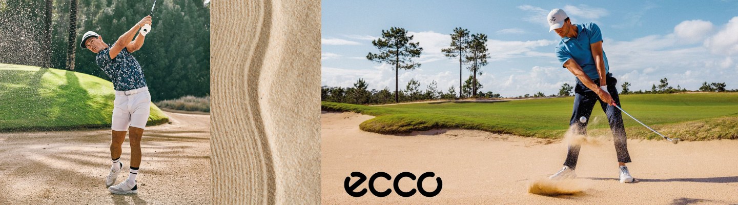 PL_ECCO