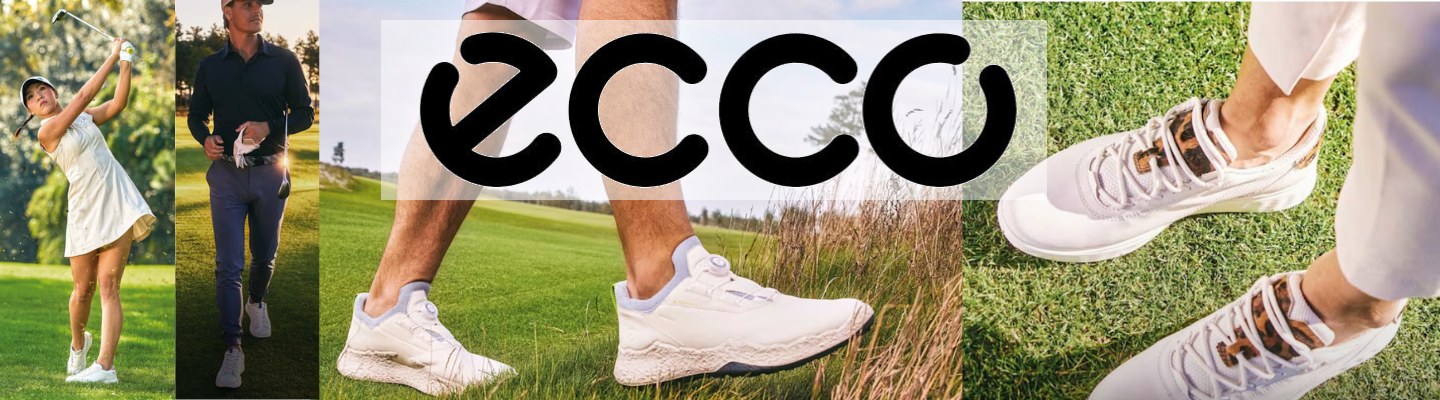 PL_ECCO