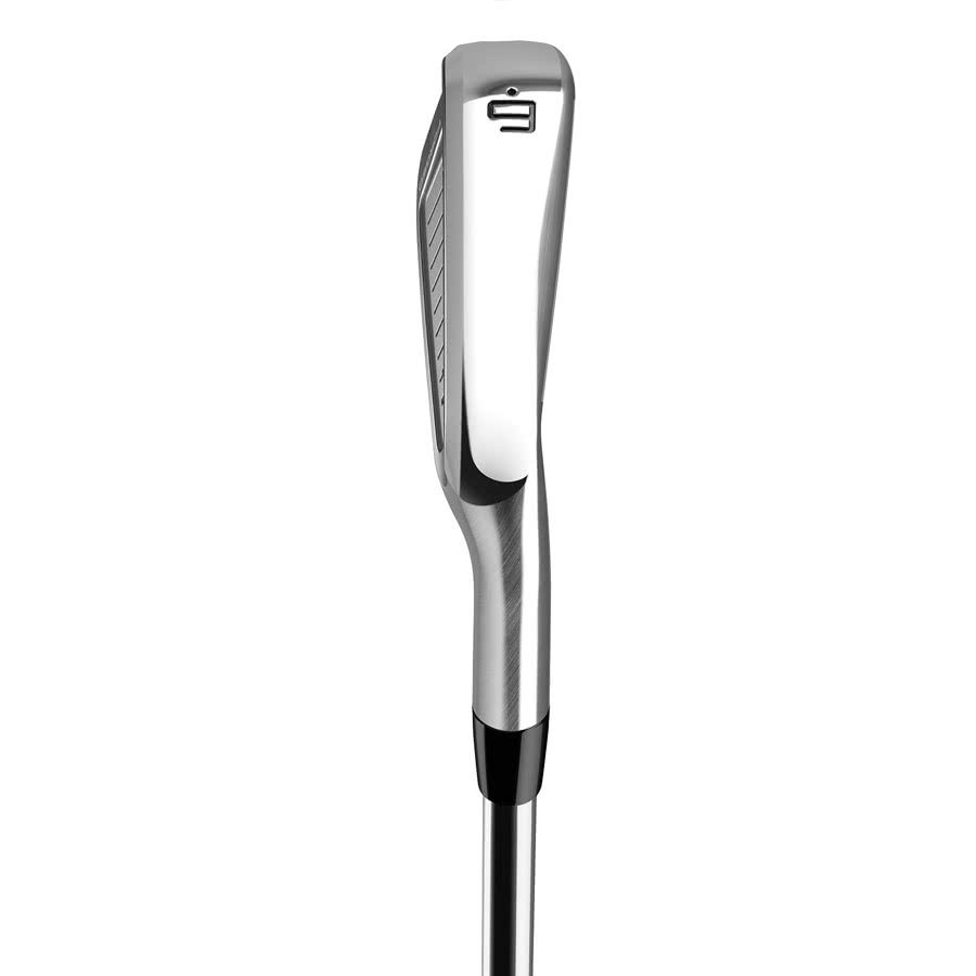 TaylorMade P760 irony męskie