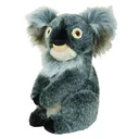 Daphne's Koala driver headcover, koala
