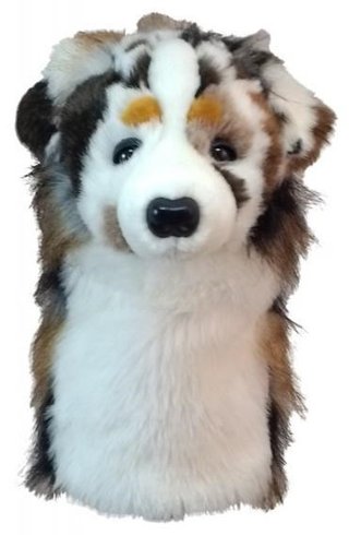Daphne's driver headcover, owczarek australijski