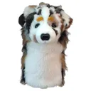Daphne's driver headcover, owczarek australijski