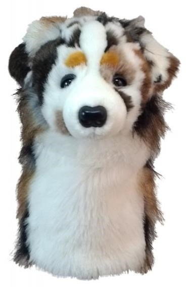 Daphne's driver headcover, owczarek australijski