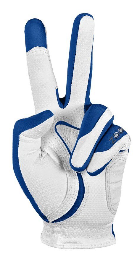 Zoom Weather męska rękawiczka golfowa, royal