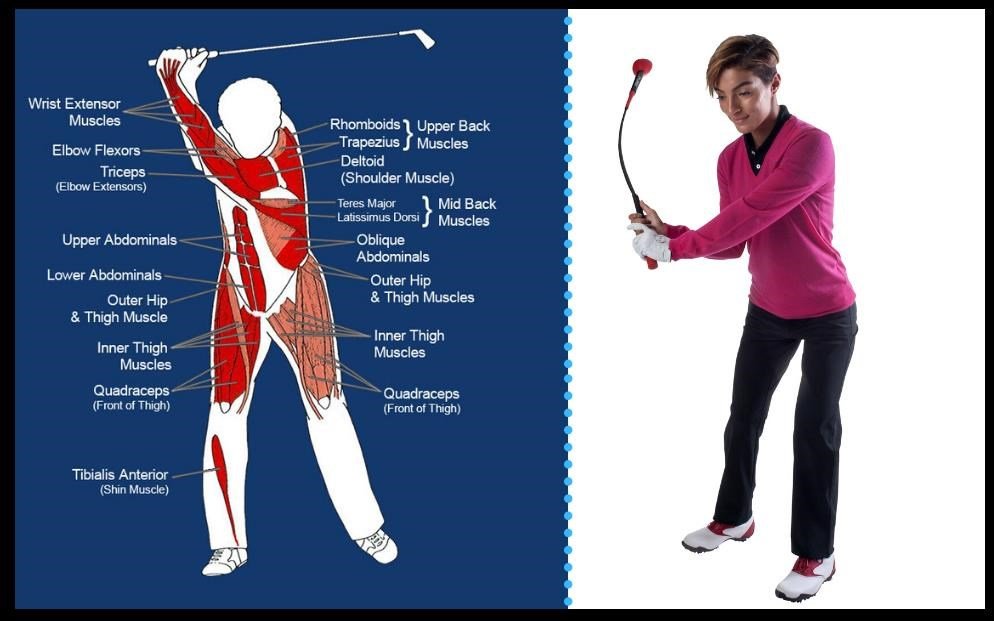 Pure2Improve Tempo Trainer - 48"/122 cm