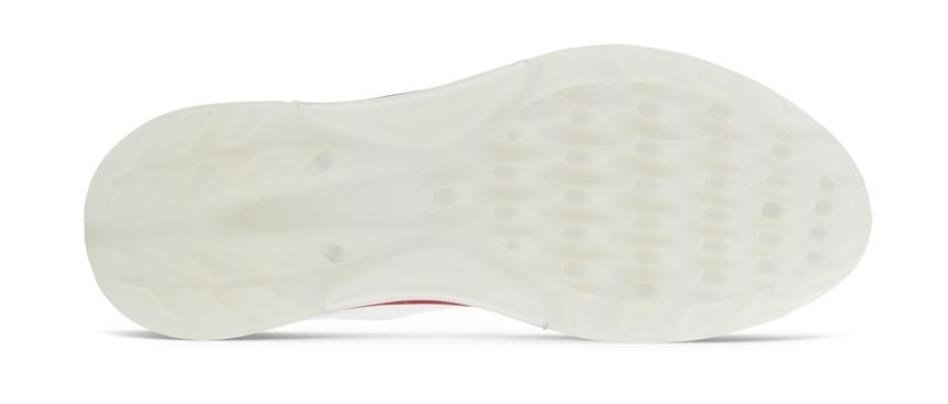 Ecco Biom C4 męskie buty golfowe, biało/szare