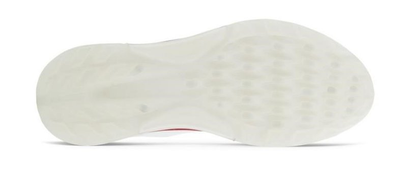 Ecco Biom C4 męskie buty golfowe, biało/szare