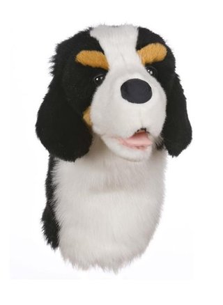 Daphne's Bernese Mountain Dog driver headcover, berneński pies pasterski