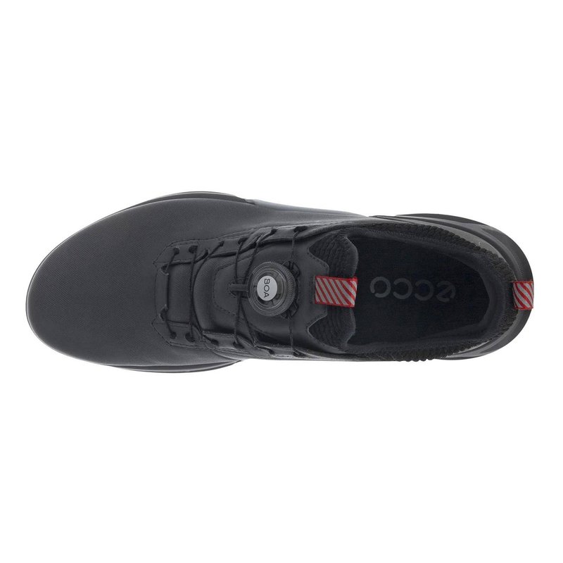Ecco Biom C4 BOA męskie buty golfowe, magnet