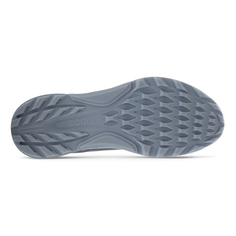 Ecco Biom C4 BOA męskie buty golfowe, magnet