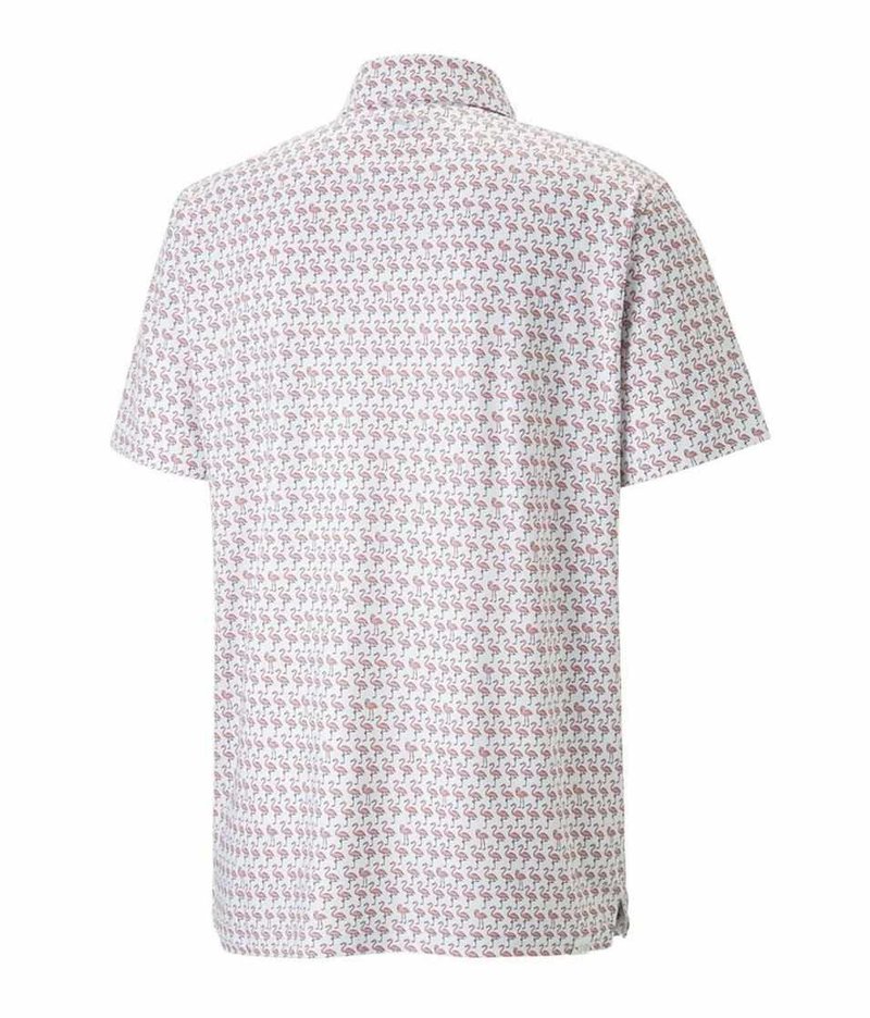 Puma Mattr Flamingo męskie polo, biało/różowy