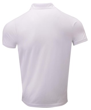 2117 of Sweden Fröseke męskie polo, białe