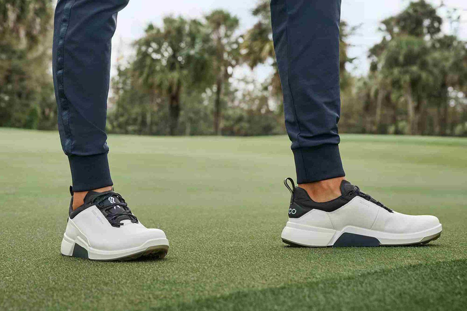 Ecco Biom H4 męskie buty golfowe, biało/czarne