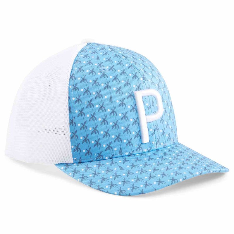 Puma Palms Trucker P męska czapka z daszkiem, biało/niebieska