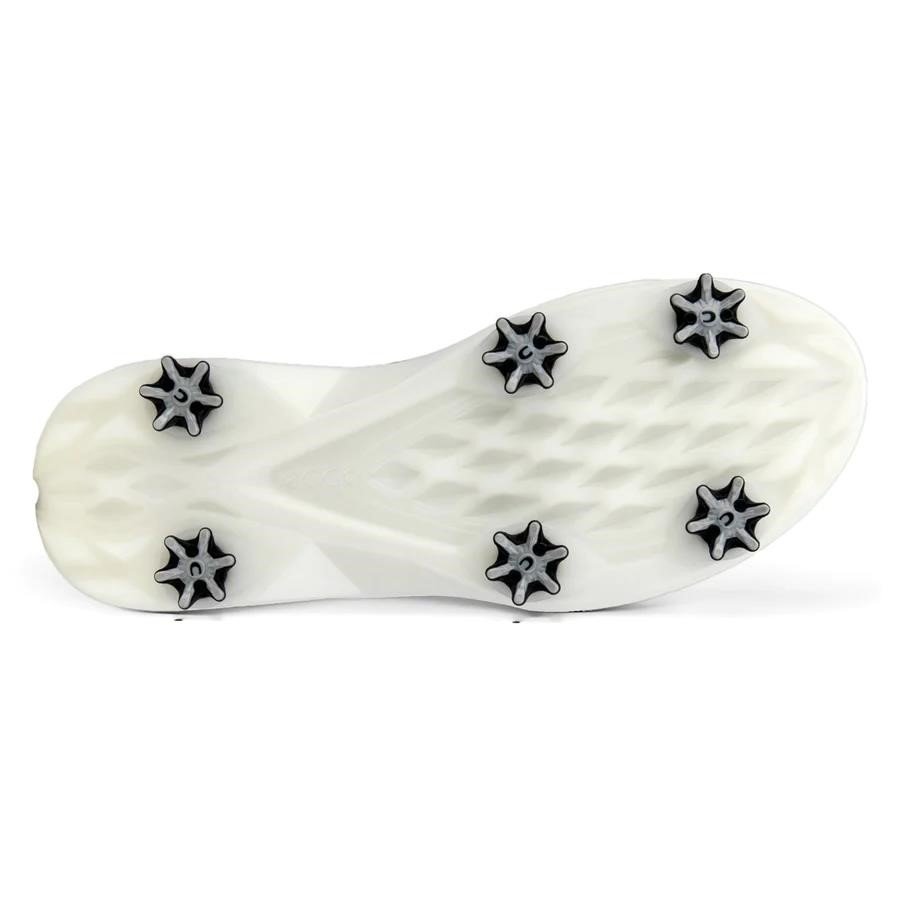 Ecco Biom G5 Boa męskie buty golfowe, szare