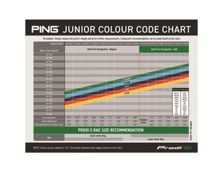 Ping Prodi G Anser putter dla dzieci