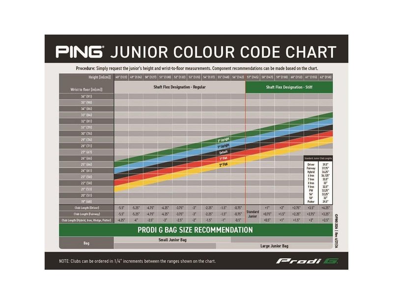 Ping Prodi G Anser putter dla dzieci