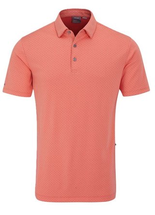 Ping Hershel męskie polo, dubarry multi