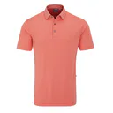Ping Hershel męskie polo, dubarry multi