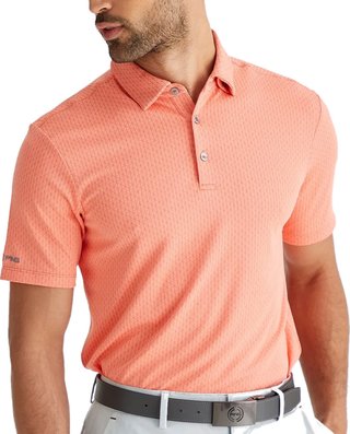 Ping Hershel męskie polo, dubarry multi