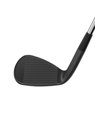 Wilson Infinite wedge