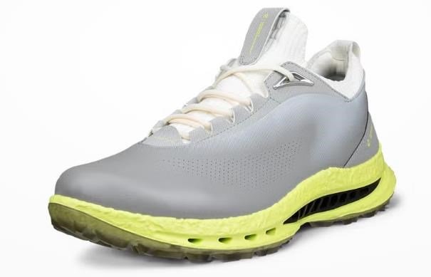 Ecco Biom C5 męskie buty golfowe, wild dove