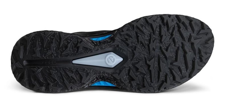 Ecco Biom C5 Boa męskie buty golfowe, czarne