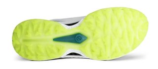Ecco Biom C5 Boa męskie buty golfowe, biało/zielone