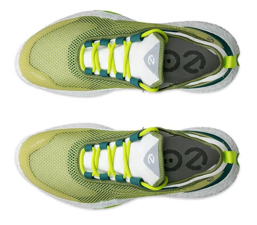 Ecco Biom H5 męskie buty golfowe, sweet pea/lime punch/baygreen