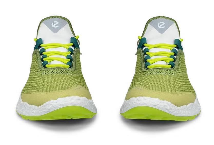 Ecco Biom H5 męskie buty golfowe, sweet pea/lime punch/baygreen