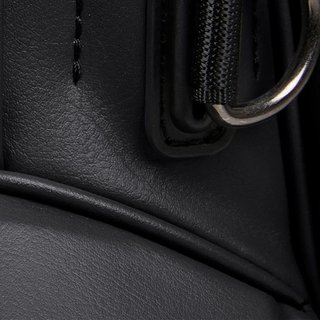Titleist Linkslegend Members stand bag, czarny