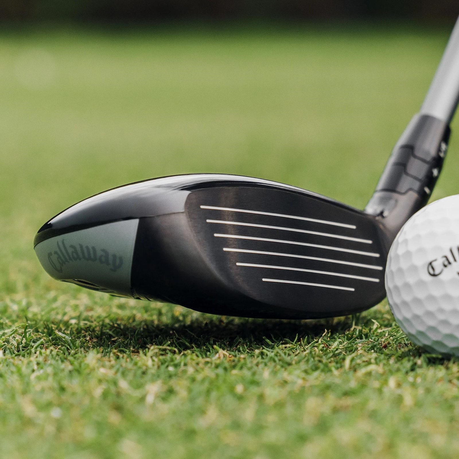 Callaway Quantum Max OS męski hybryd