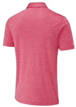 Ping Rafe męskie polo, rhapsody rosa