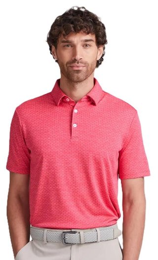 Ping Rafe męskie polo, rhapsody rosa
