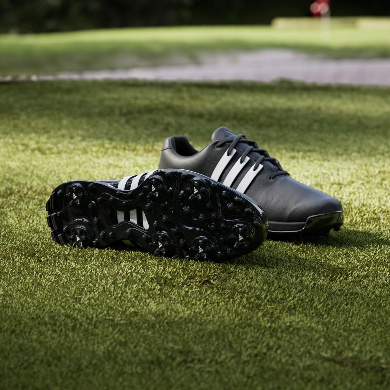 Adidas Tour360 24 męskie buty golfowe, czarne