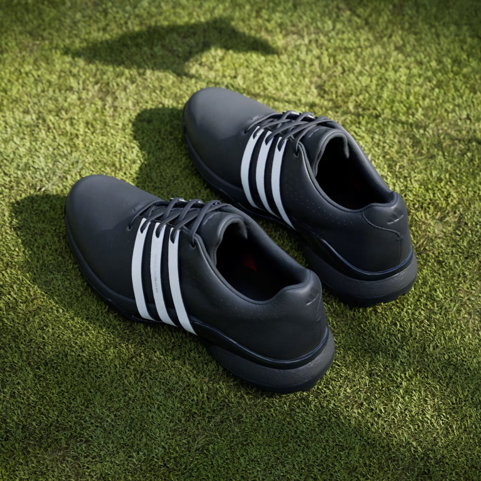 Adidas Tour360 24 męskie buty golfowe, czarne