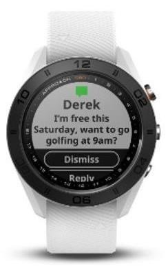 Garmin Approach S60 Lifetime, biały